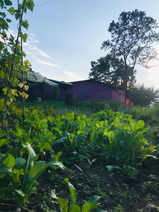 Hom'S Homestay & Farmstay Sarangkot Pokhara Exterior foto
